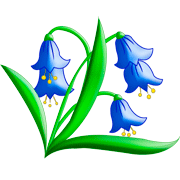 Раскраски цветок Колокольчик