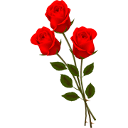 Раскраски Розы